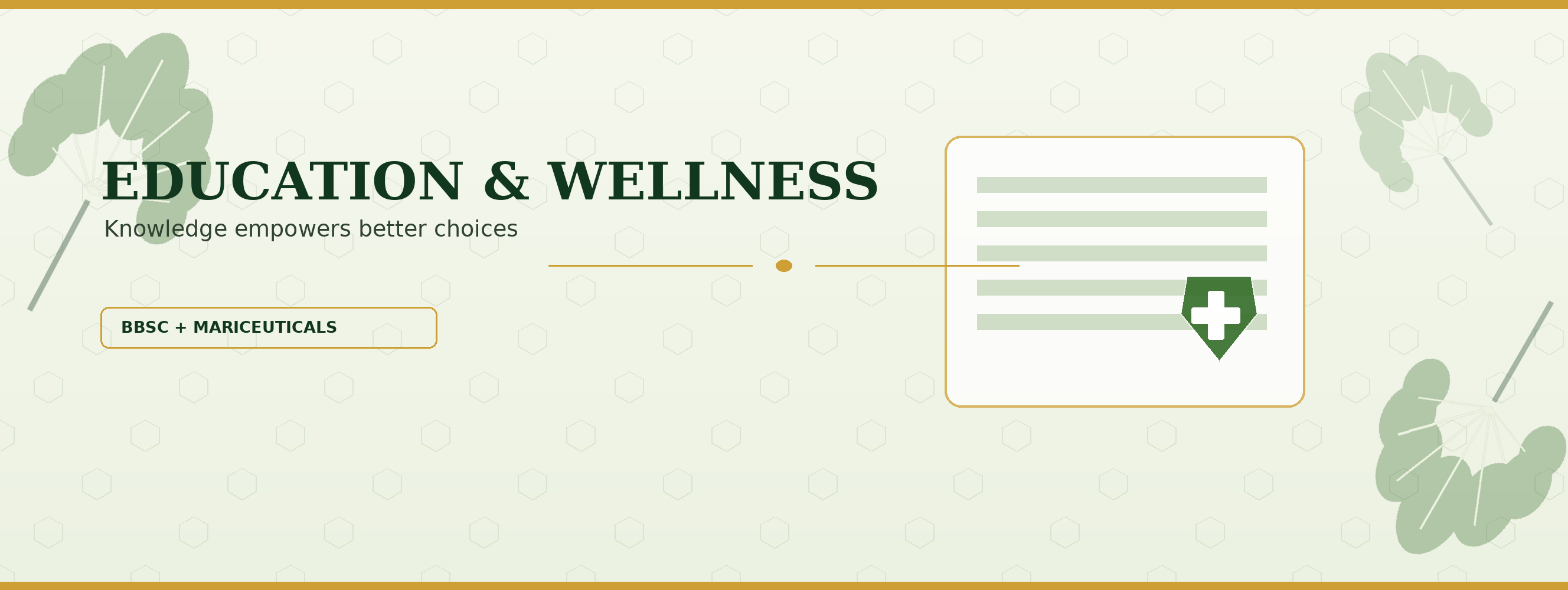 Mariceuticals education and wellness artwork