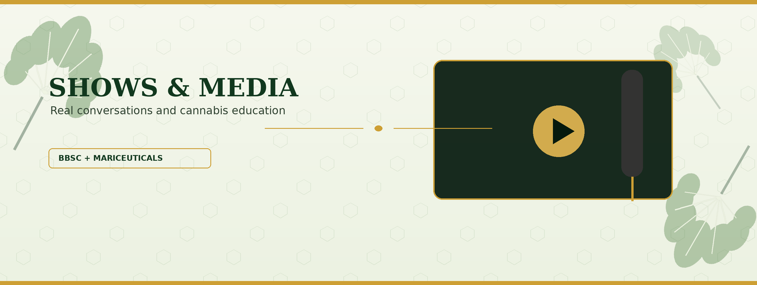 Shows & Media