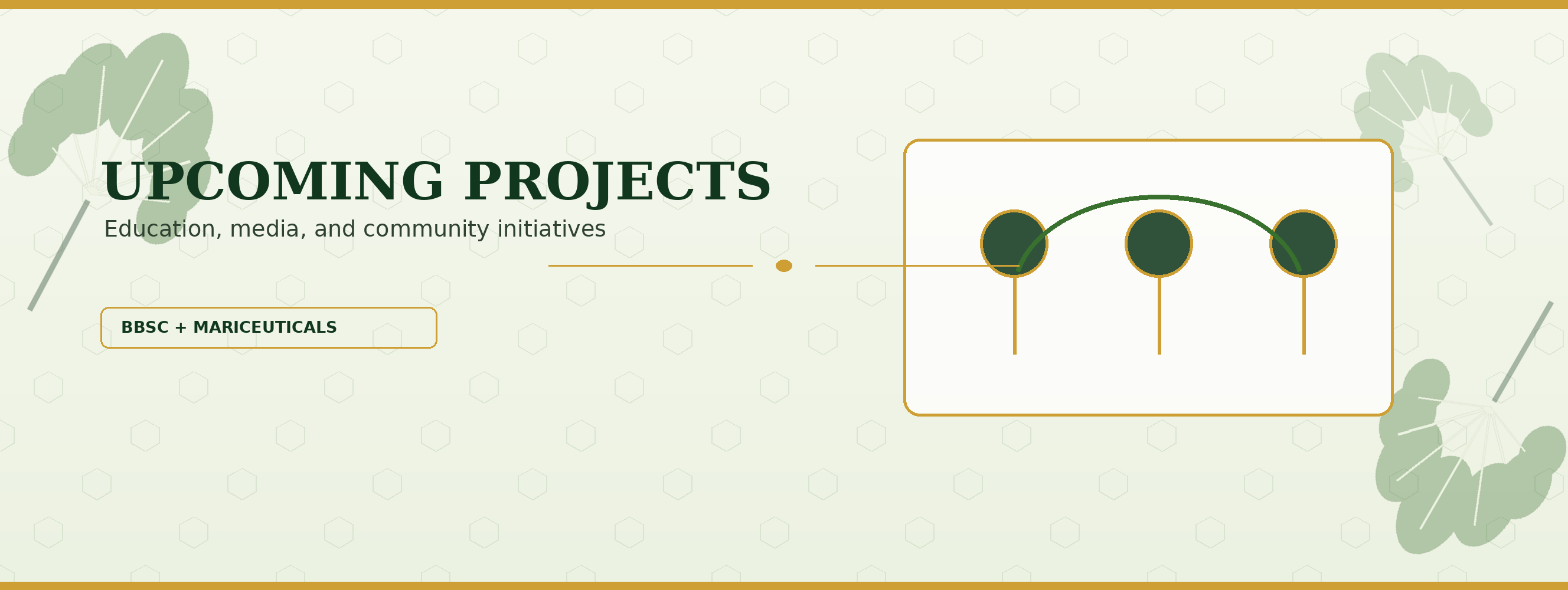 Upcoming Projects